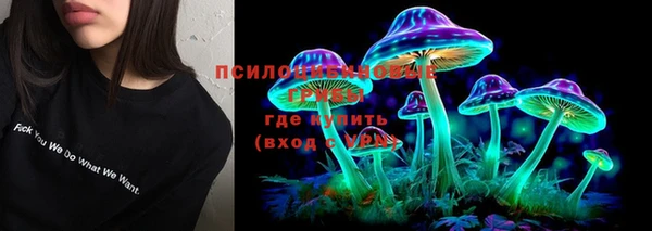 молекула духа Алексеевка