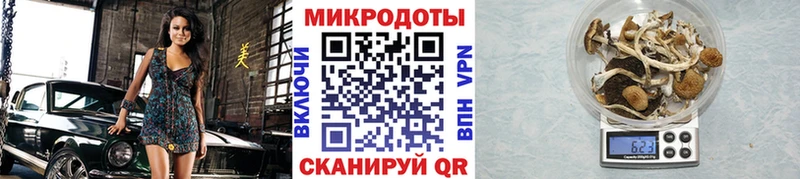 Галлюциногенные грибы Psilocybe  Сольвычегодск 